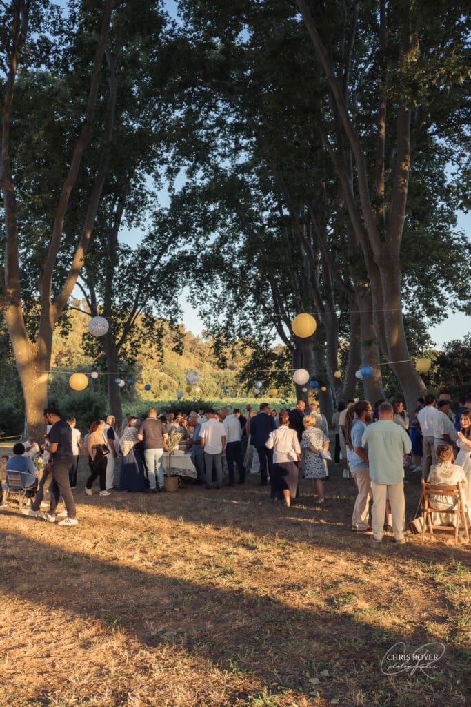 Invités réunis sous les platanes pour le cocktail d’un mariage au Domaine du Viet Invités réunis sous les platanes pour le cocktail d’un mariage au Domaine du Viet